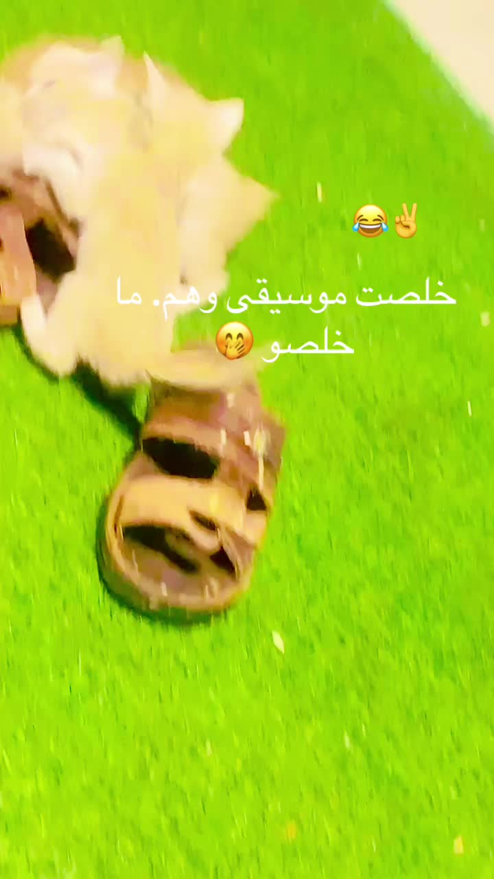 @توته ملتوته🍓☺️✌️