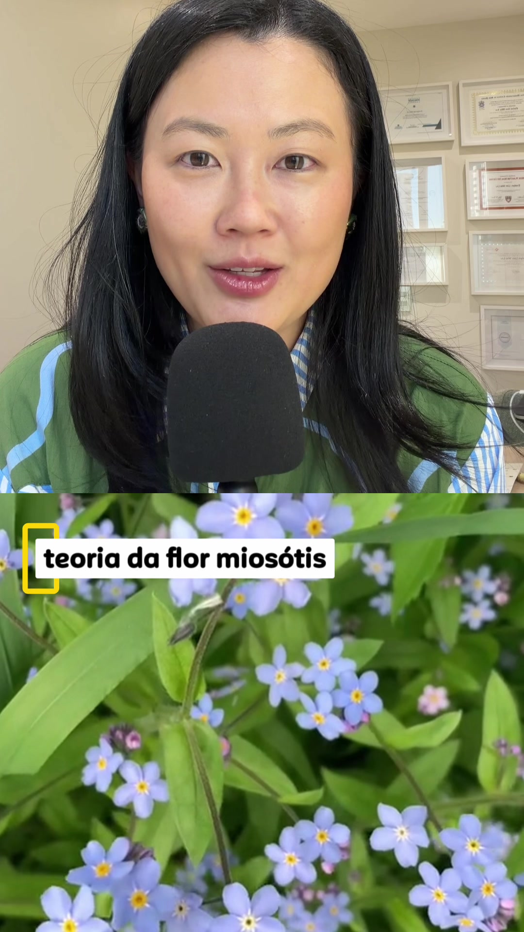 @Evelyn Liu