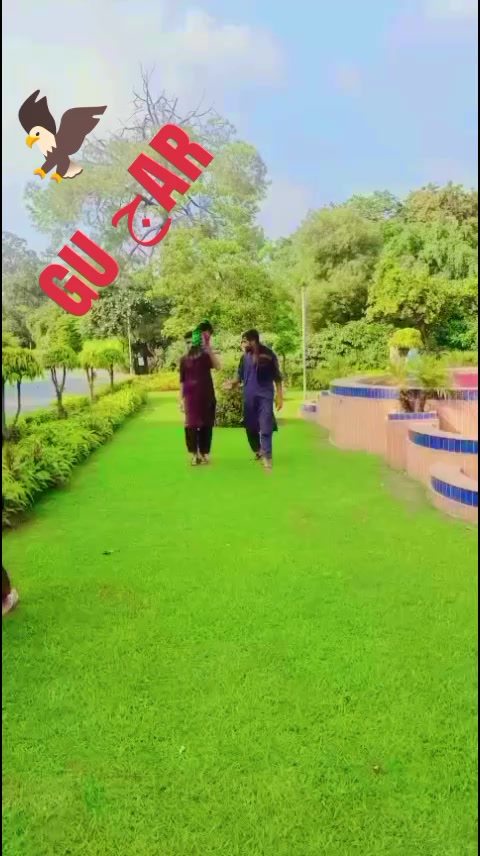 @M Ismaeel Gujjar