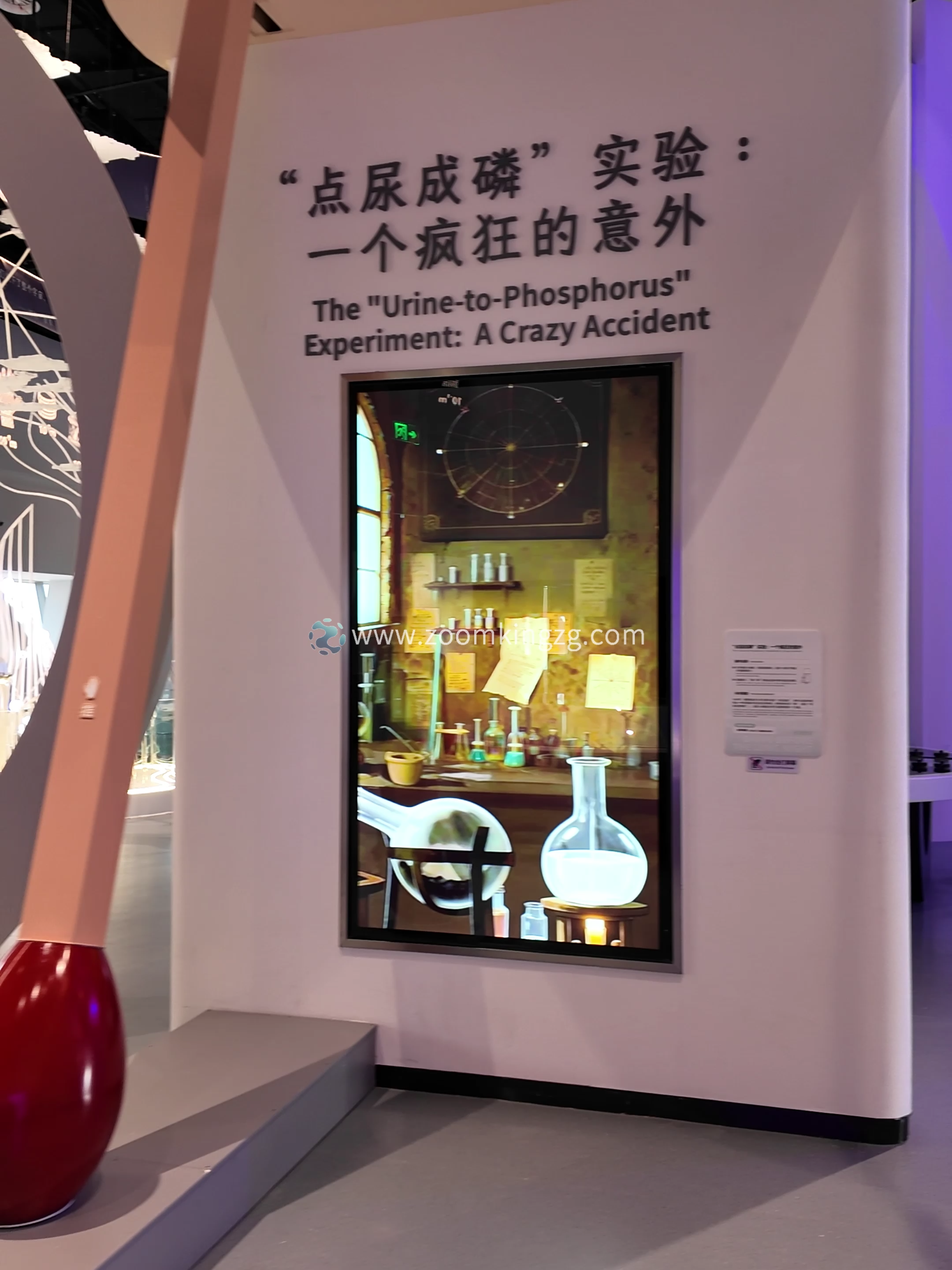 @ZOOM KING ZHOU