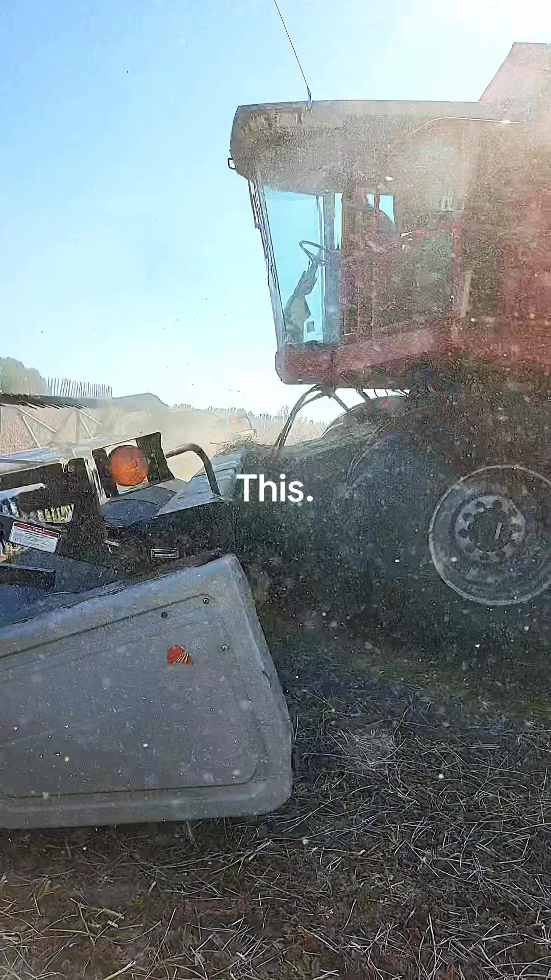 @raisedondairy