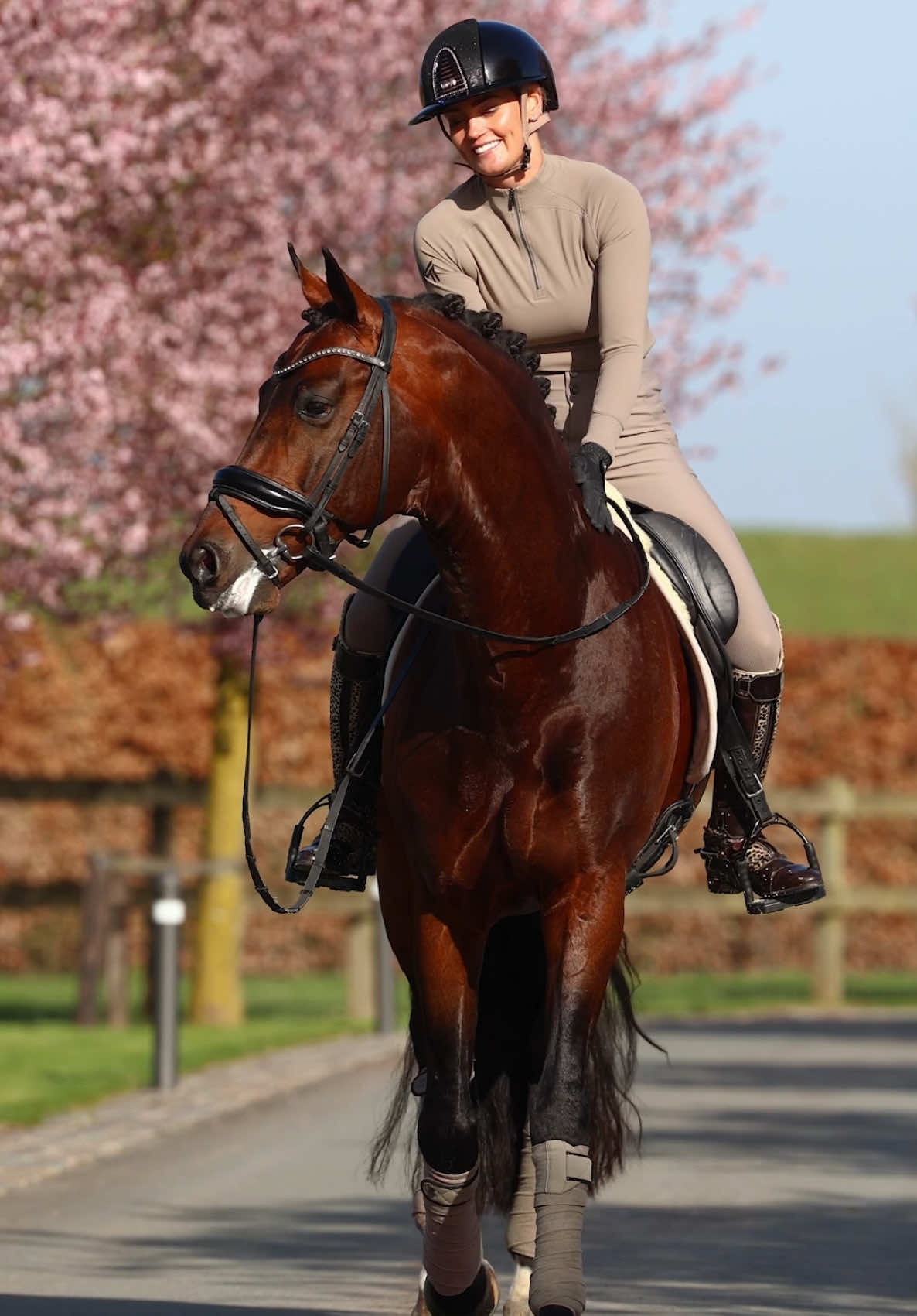 @Maximilian Equestrian