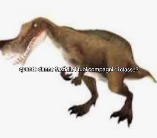 @🦖NOMI🚀