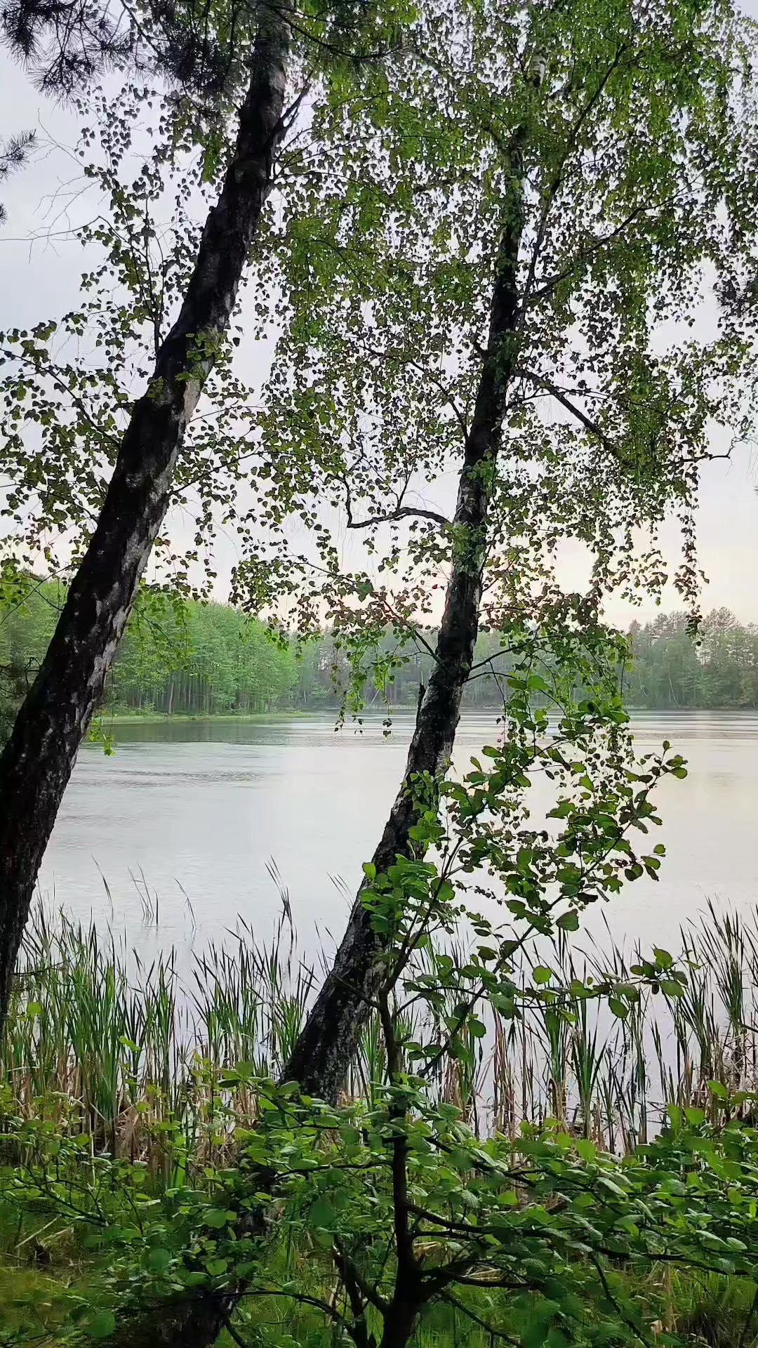 @Наталя🏍️🌳🌊