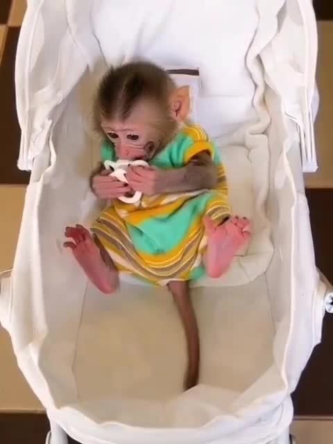 @Only Beautiful Things