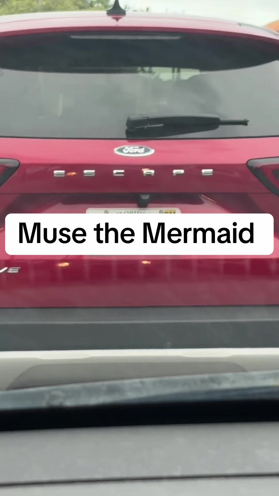 @Muse the Mermaid