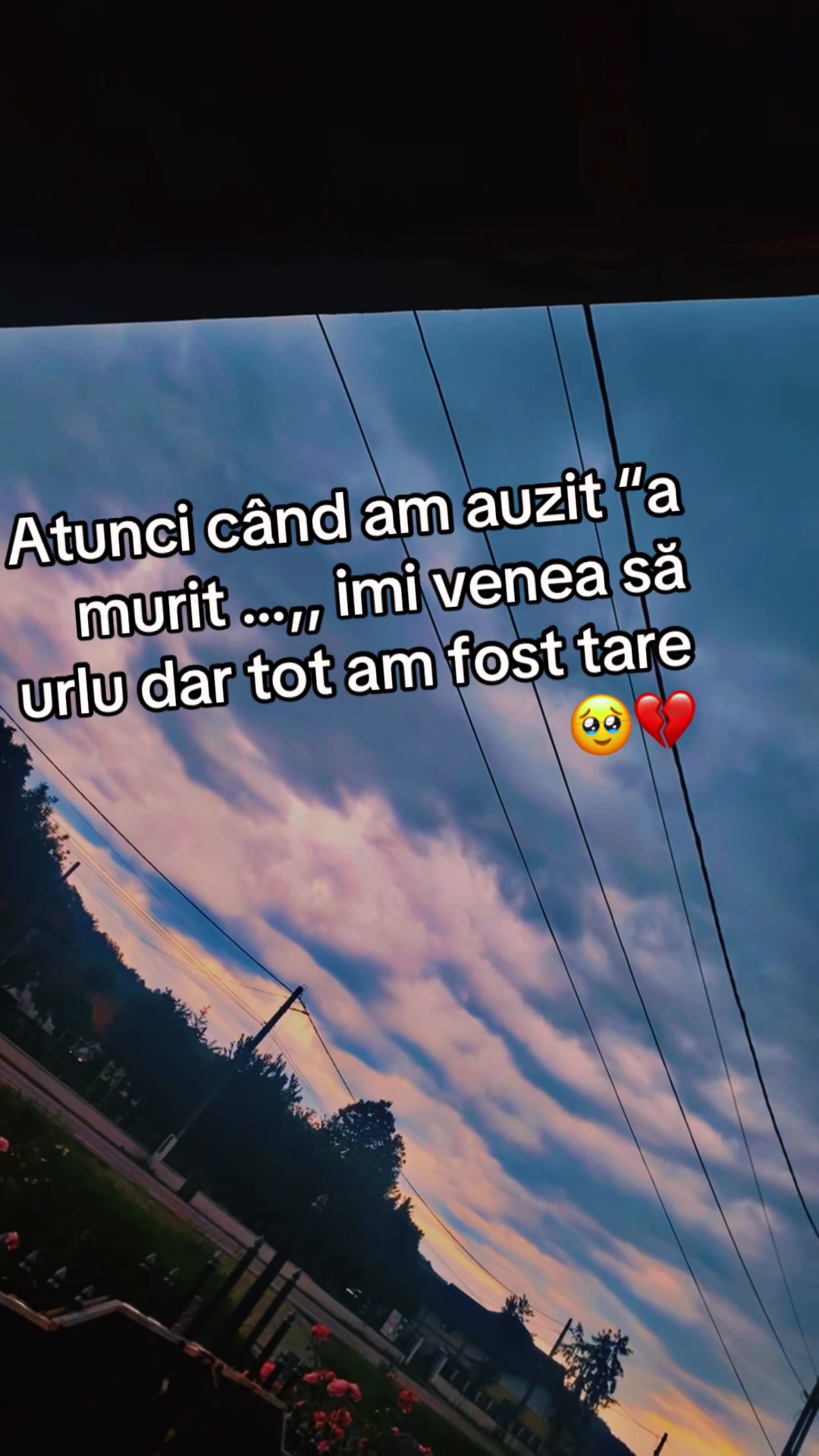 @Giorgi Daniela