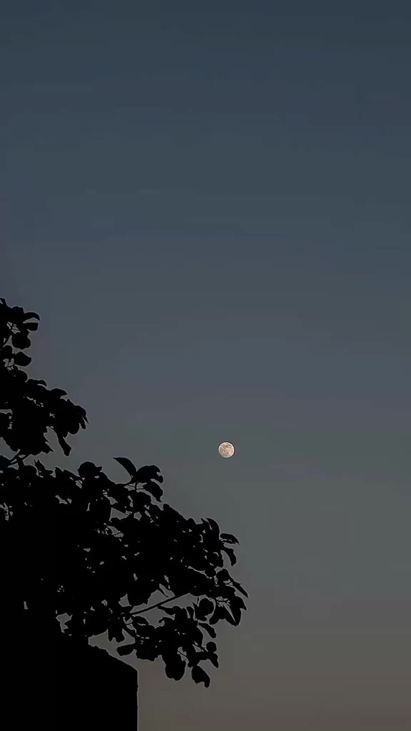 @🌗