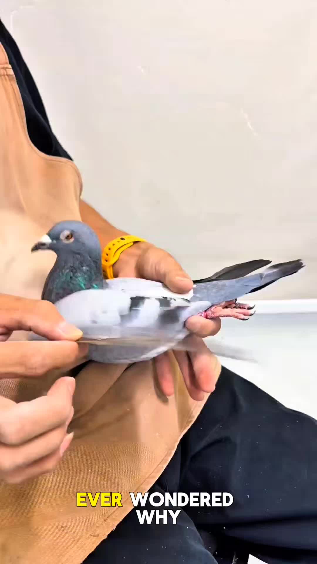 @TFRPL🕊️
