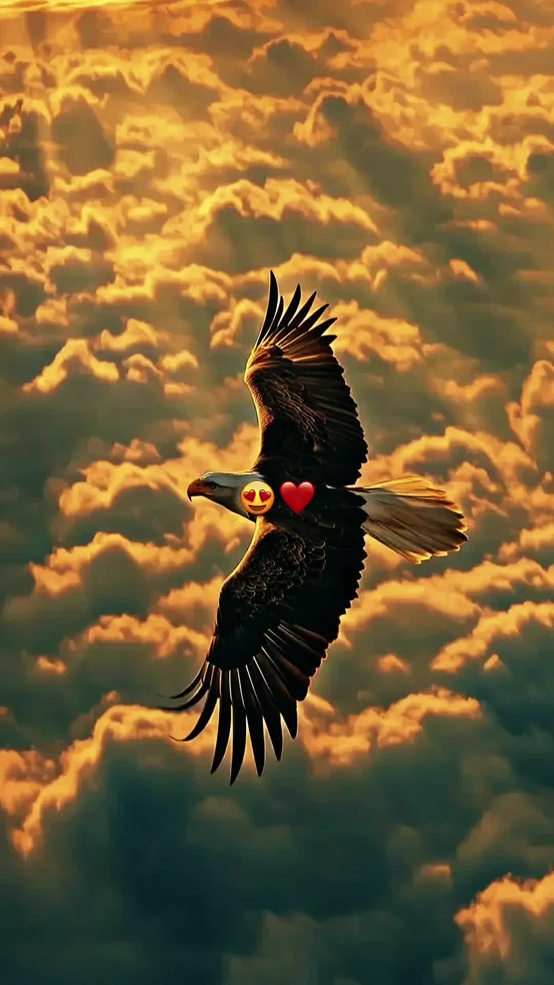 @♦️𝑬𝒍𝒊𝒂𝒔 🌻 𝑭 𝑪 𝑩 💙❤️
