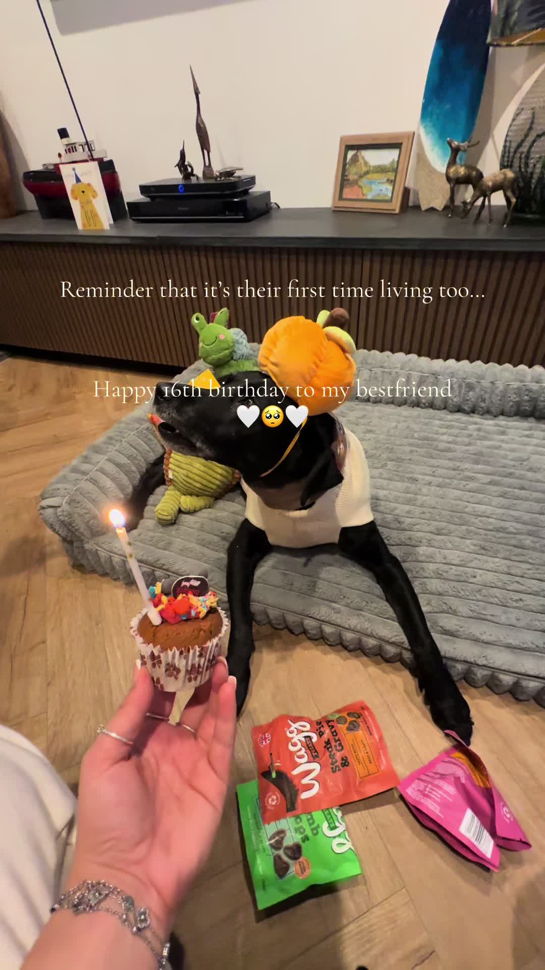@Olivia