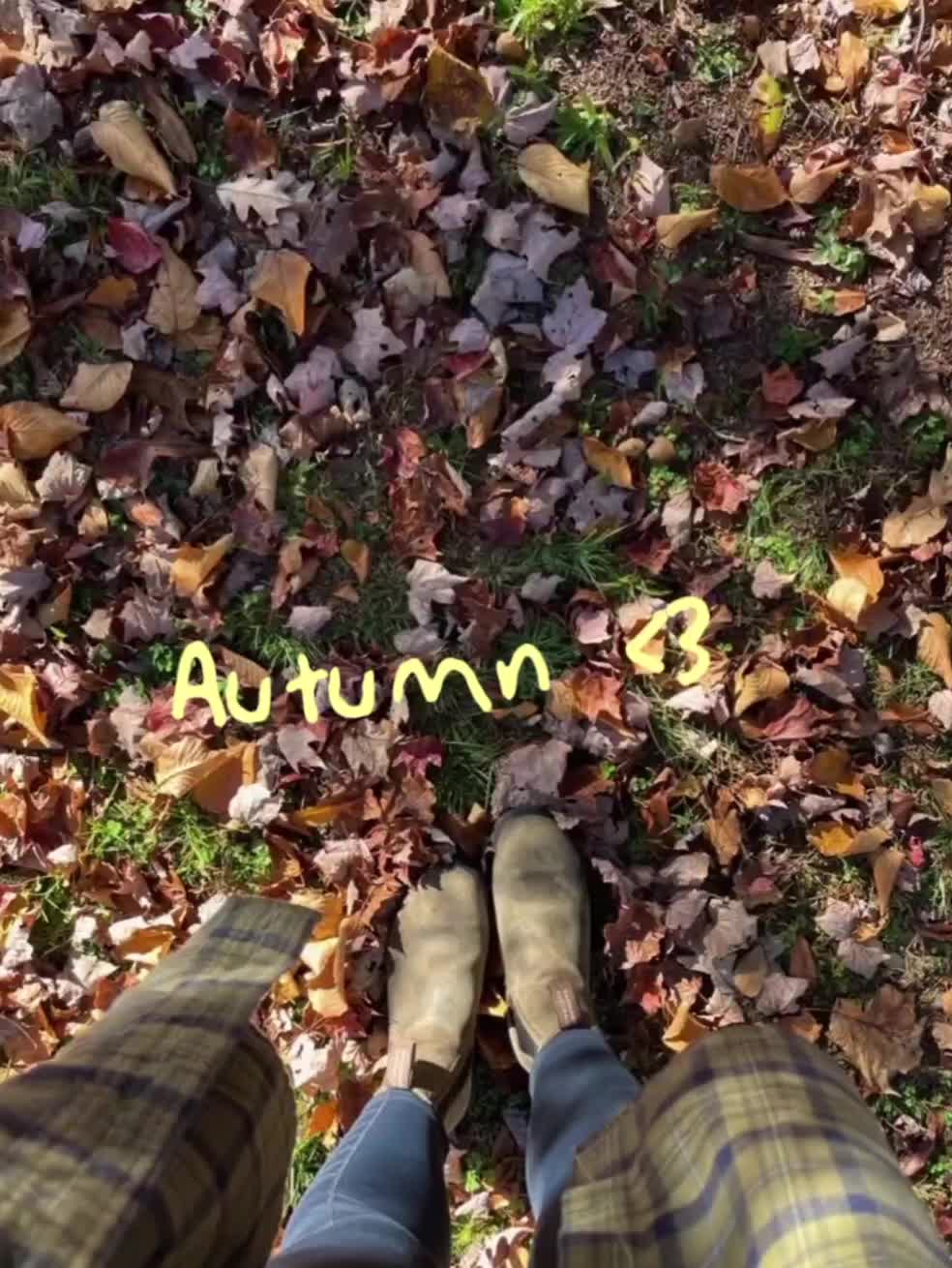 @cloe 🍋🍿🎃
