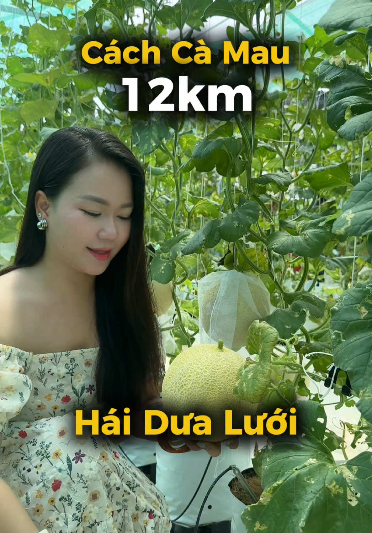 @B&eacute; Rồng