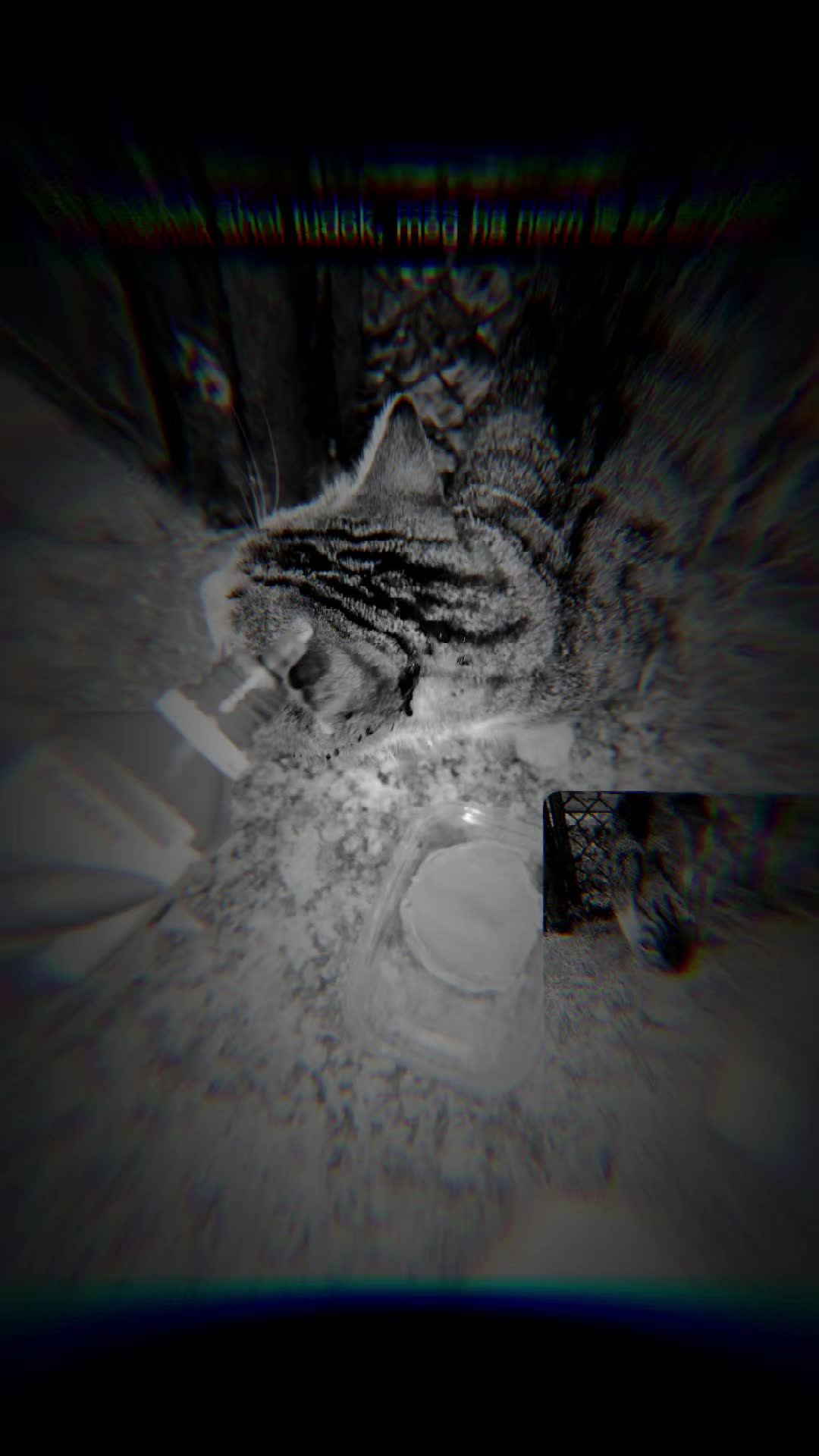 @꧁༒𝓔𝓻_𝓩𝓼𝓲𝓴𝓮༒꧂ 🪽🐶🐴888