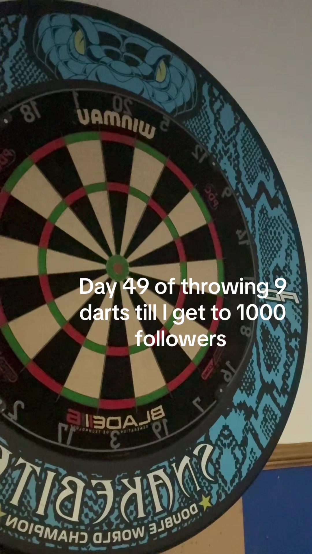 @ryan_darts2009