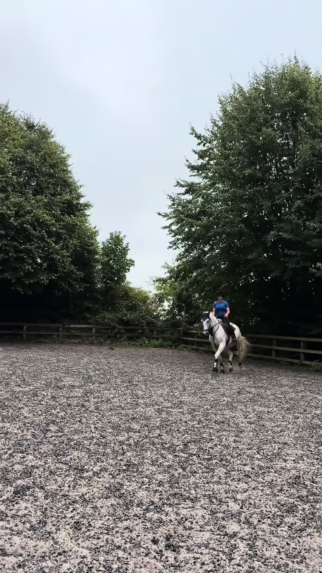 @Equ🐎:all the gear no idea🫶✌️