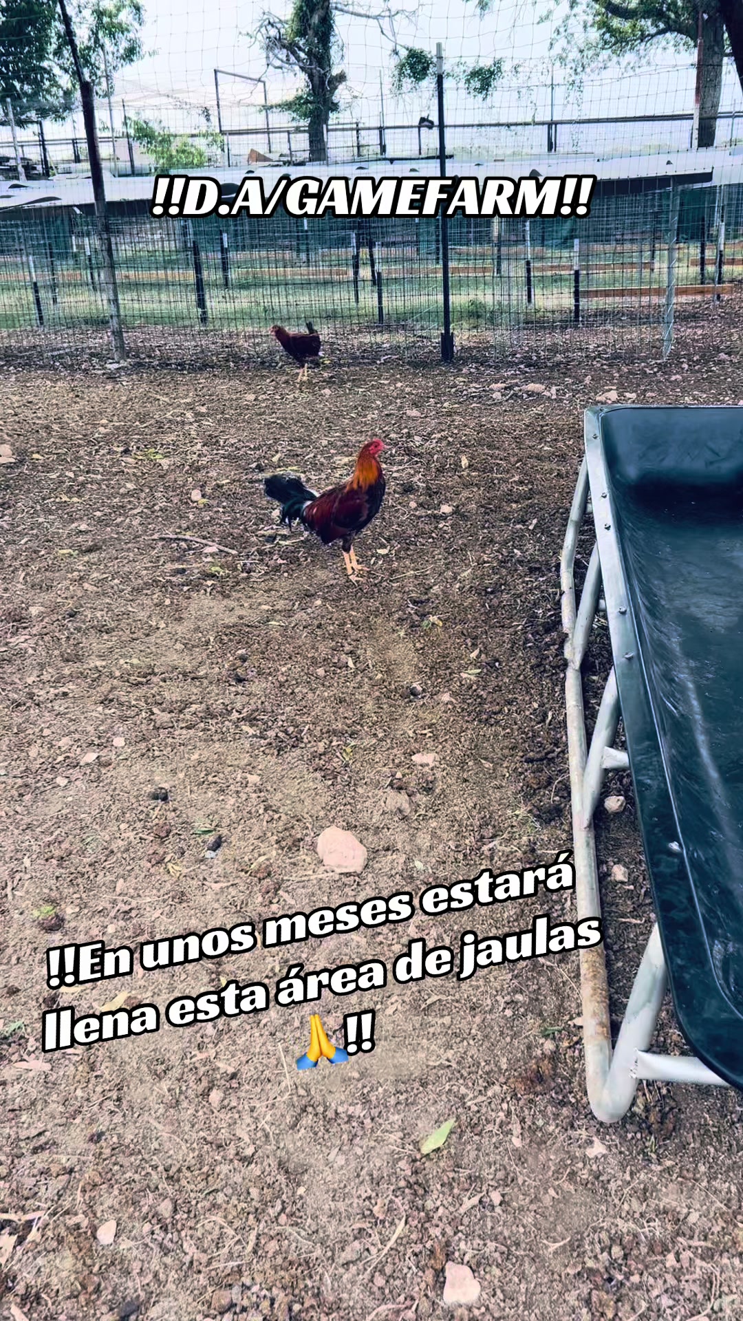 @DAgamefarm