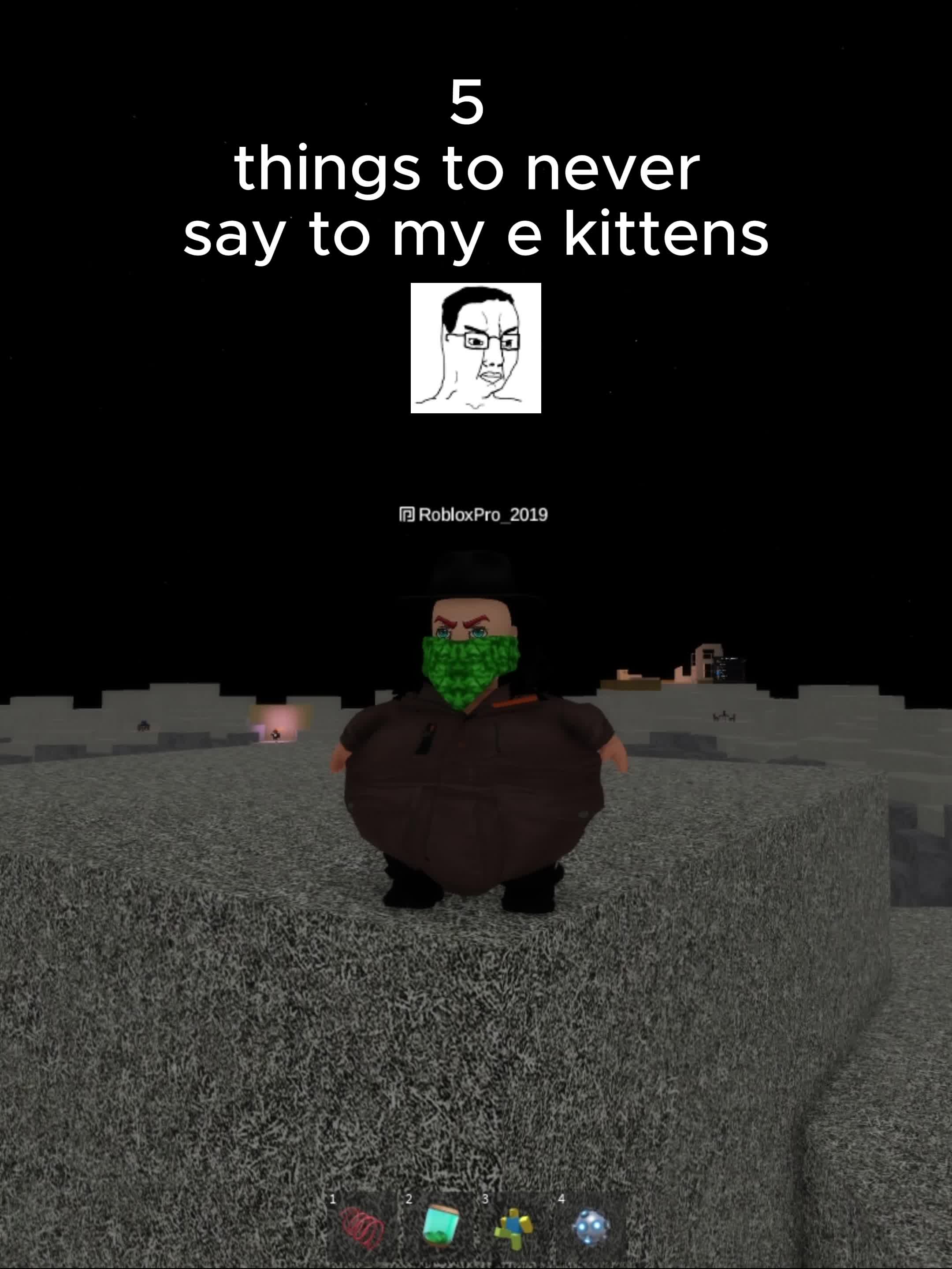 @RobloxPro_2019