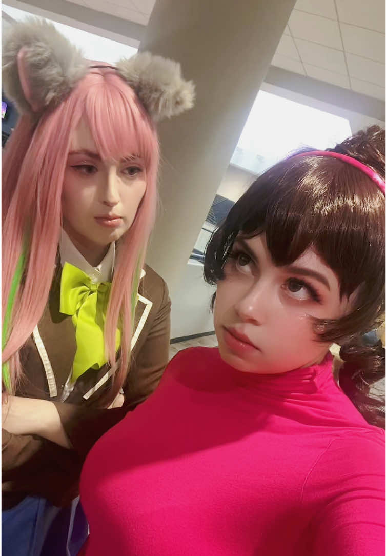@MeduKitty (｡&bull;̀ᴗ-) ✨