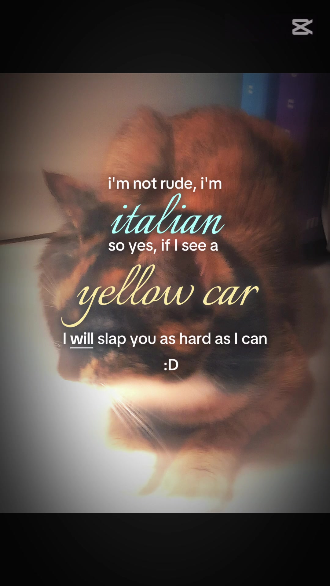 @Th3.s1lly.&otimes;n3:3