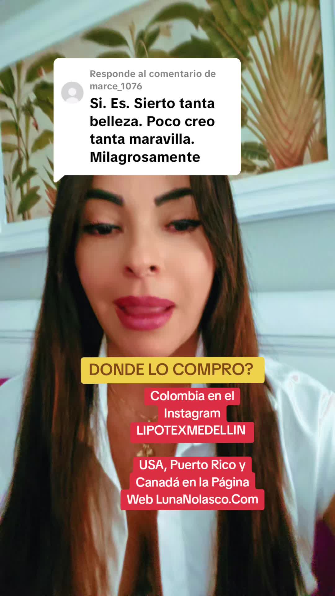 @Luna Nolasco