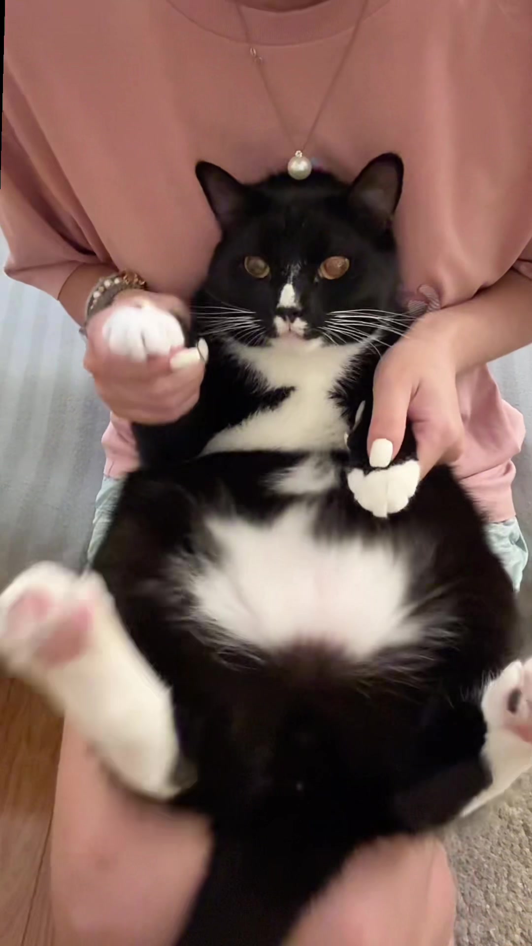 @WaggingTales