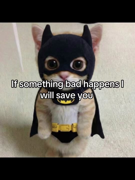 @LavanderCat