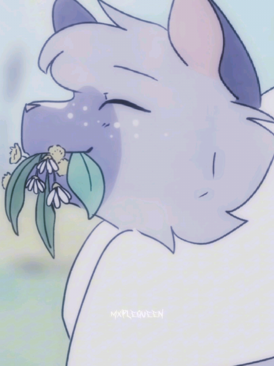 @★ 𝐦𝐱𝐩𝐥𝐞𝐪𝐮𝐞𝐞𝐧 ★
