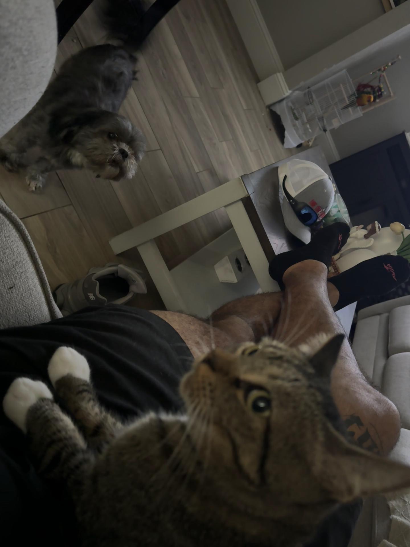 @.