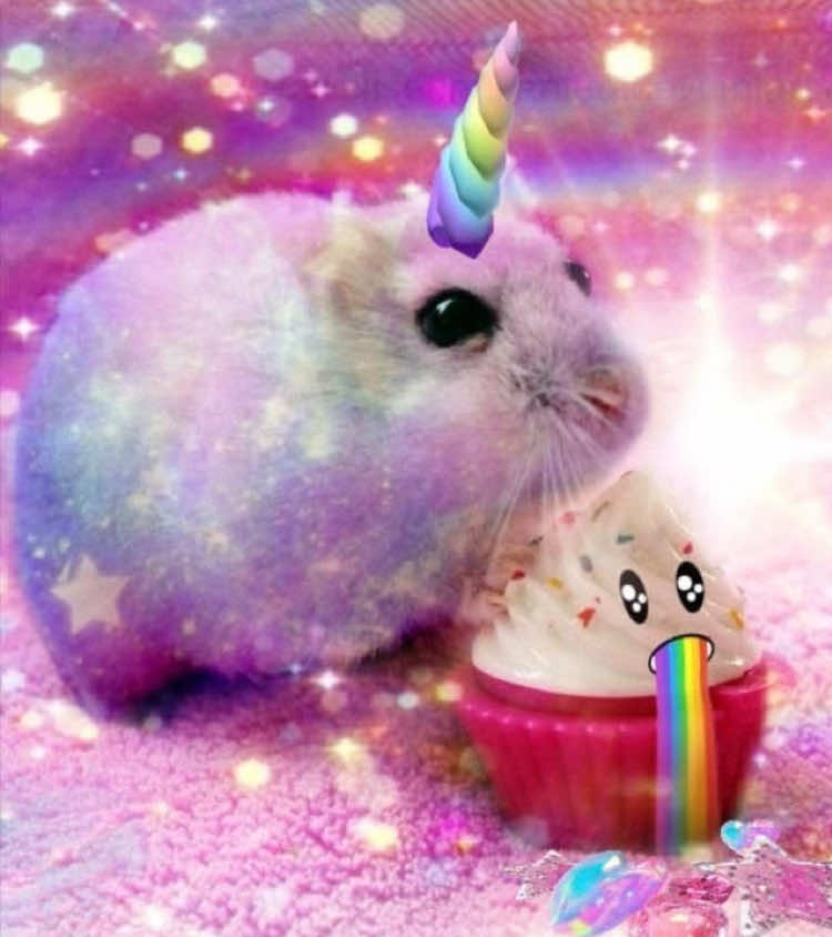 @𝕻𝖑𝖚𝖙𝖔 𝖘𝖔𝖚𝖑