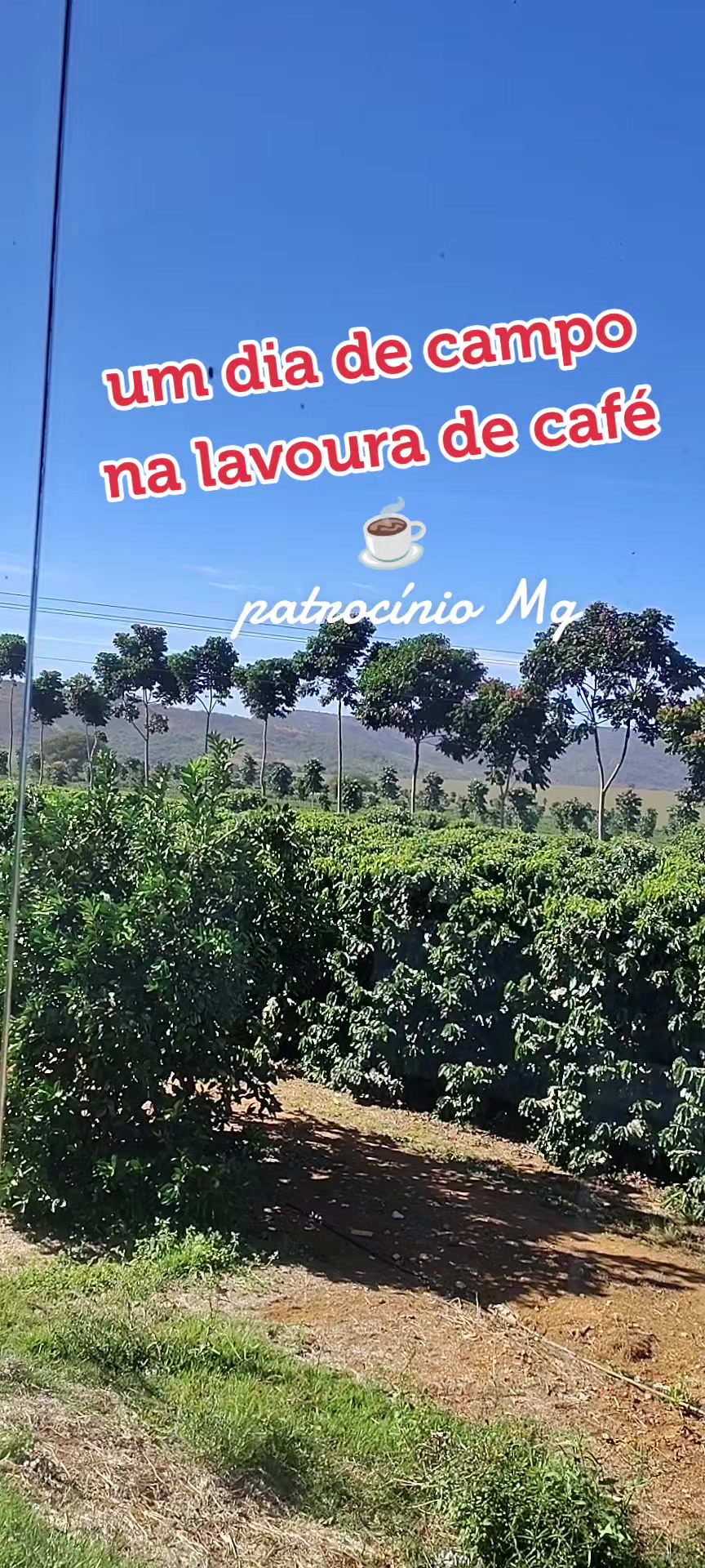 @aparecidamachado303