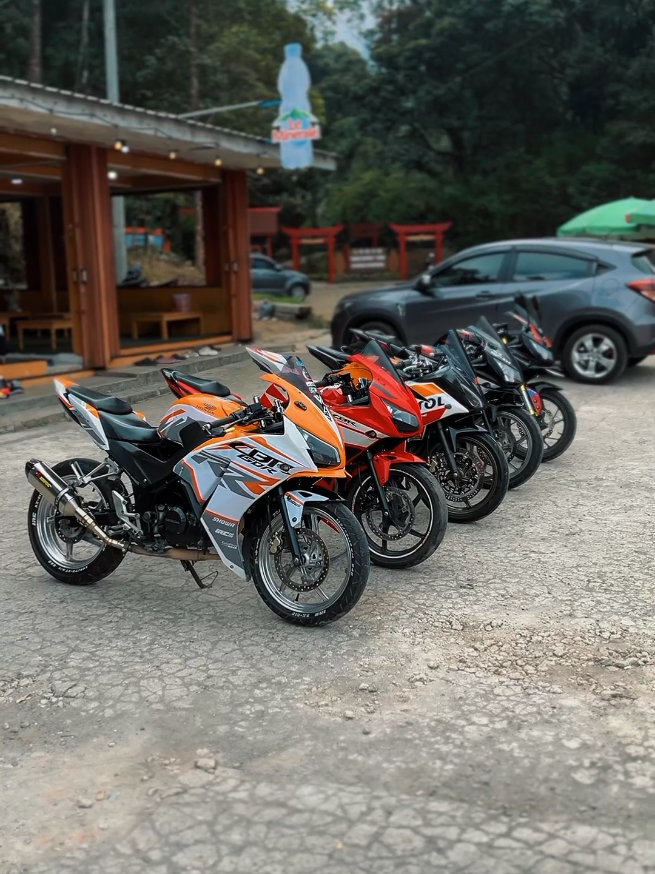 @Novael_cbr87