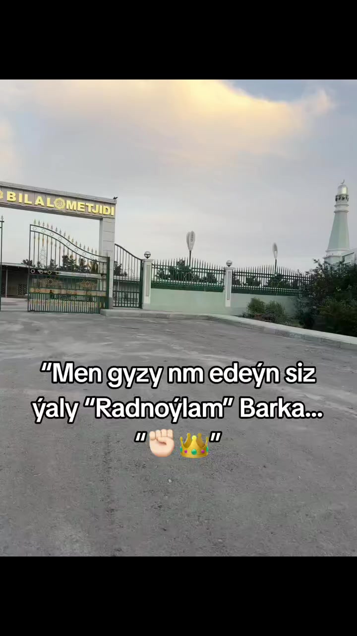@acc satlyk