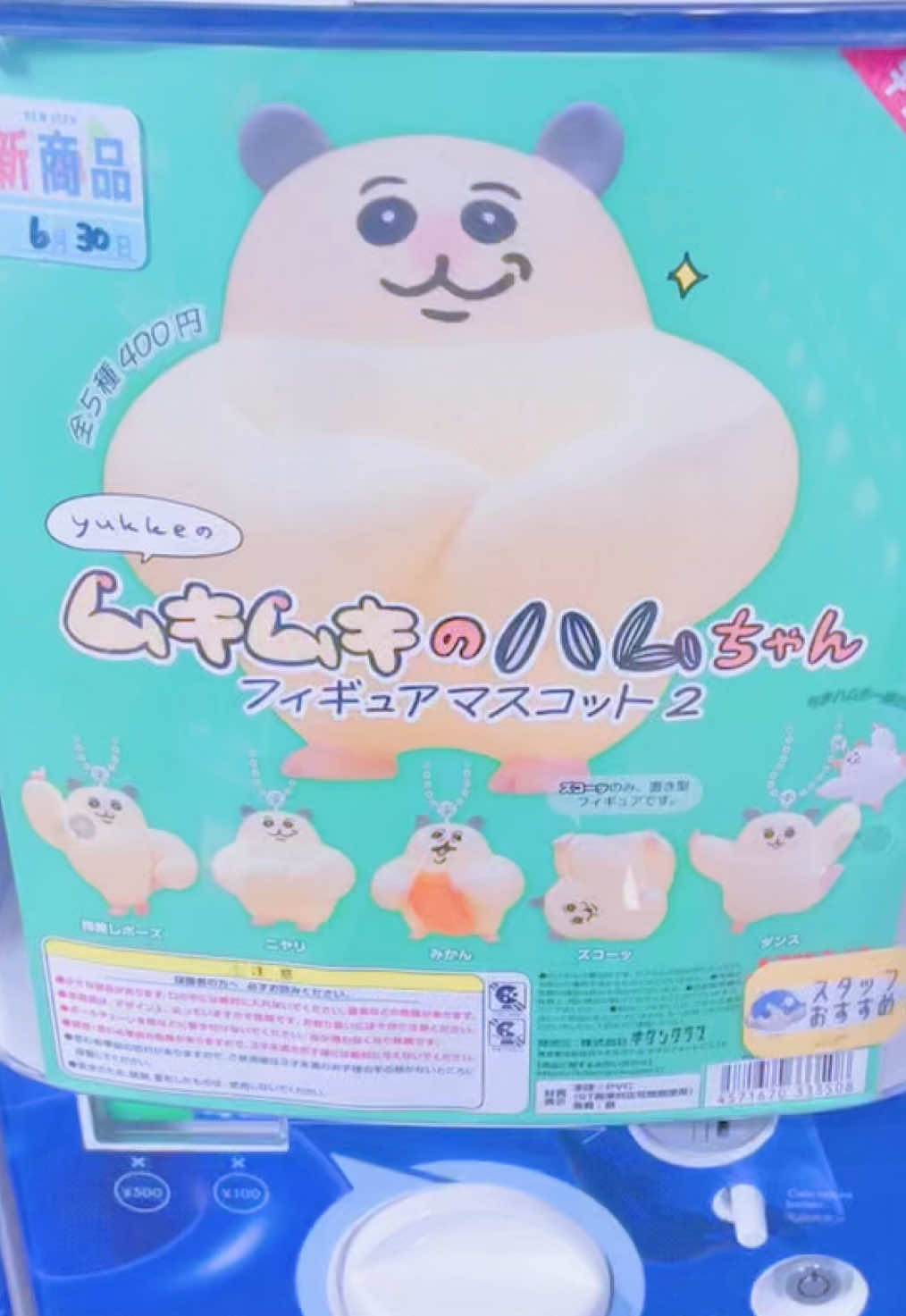 @がちゃこみこ