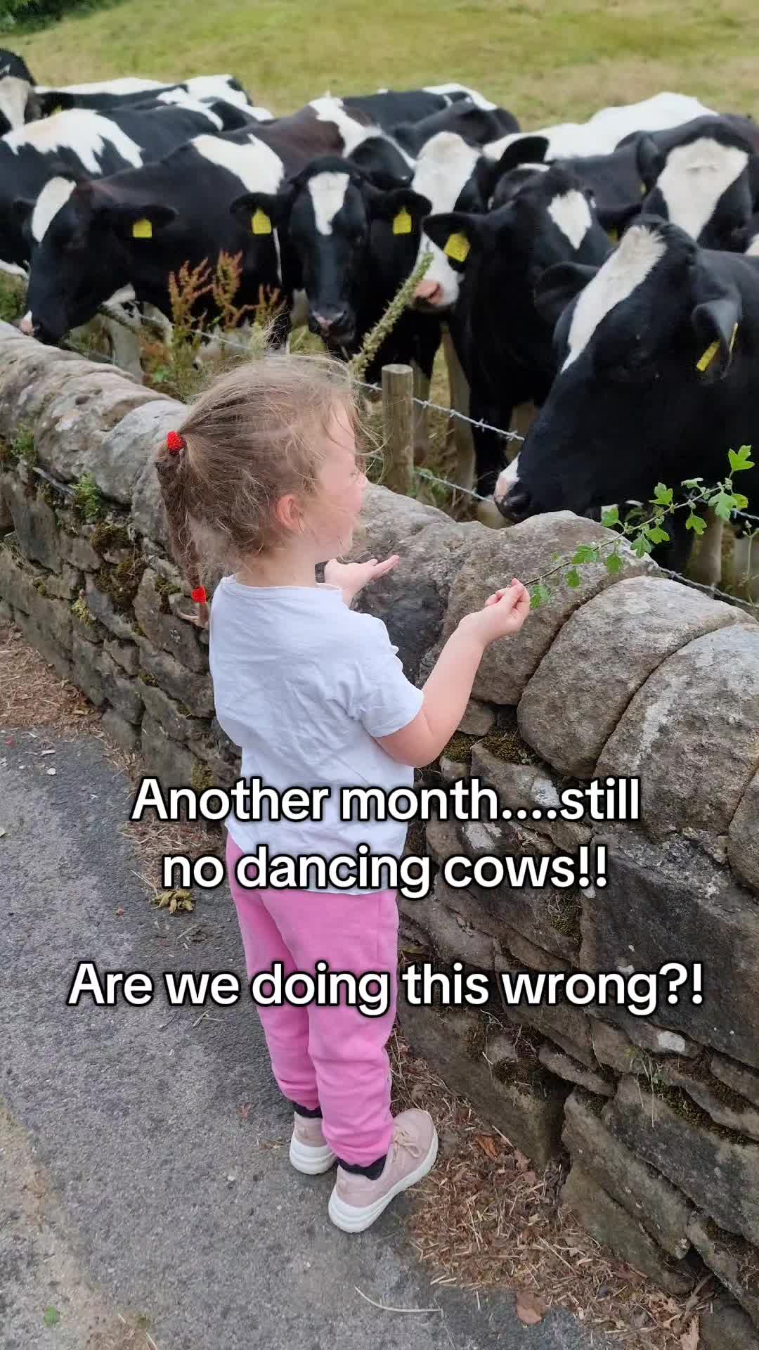 @Familydaysout