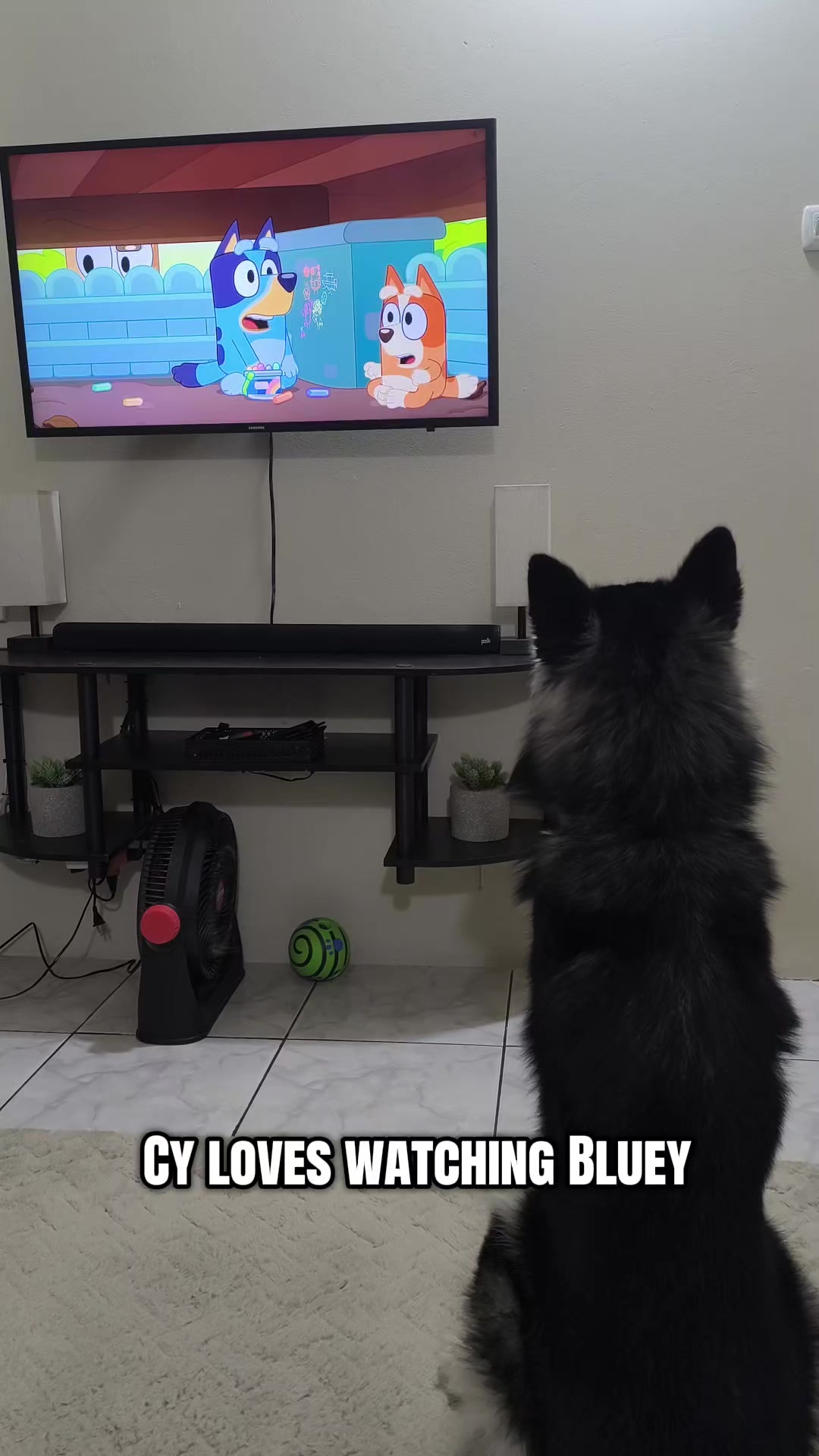 @cythehusky