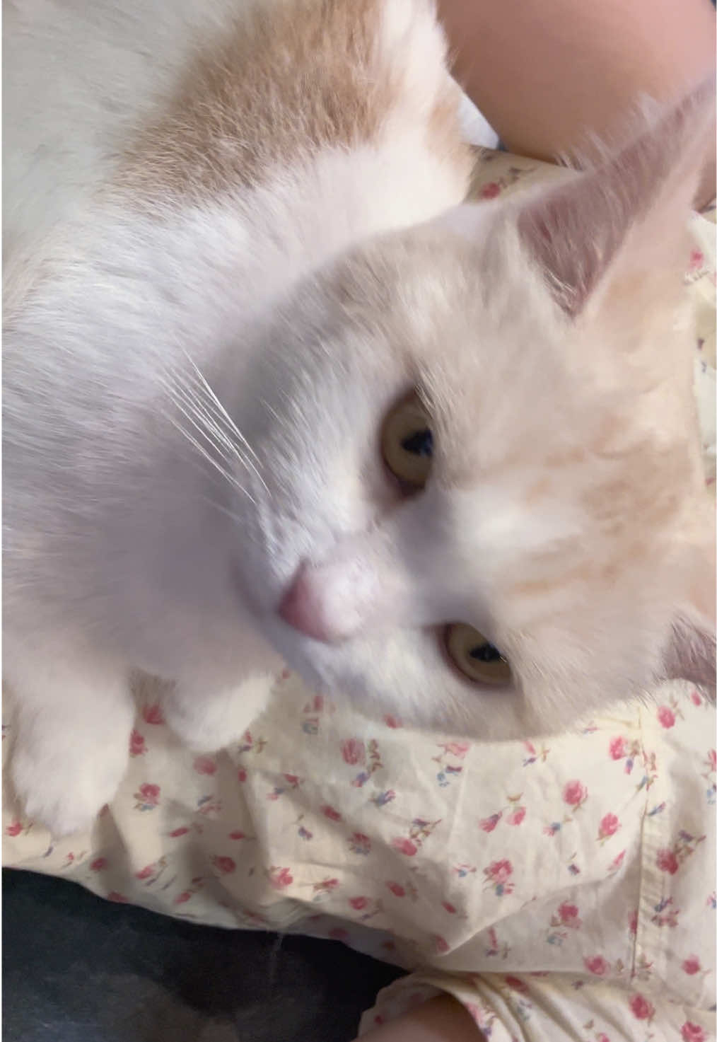 @コノミ ୨୧˙˳⋆