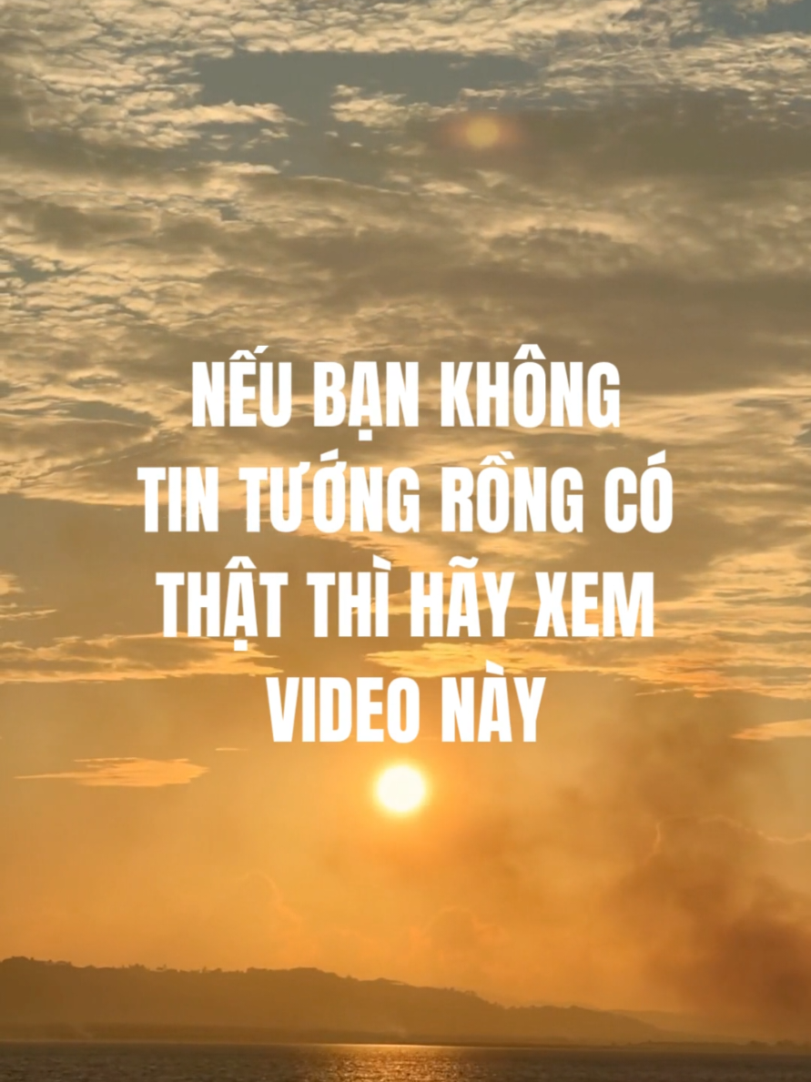 @Nhân tướng học - Steven