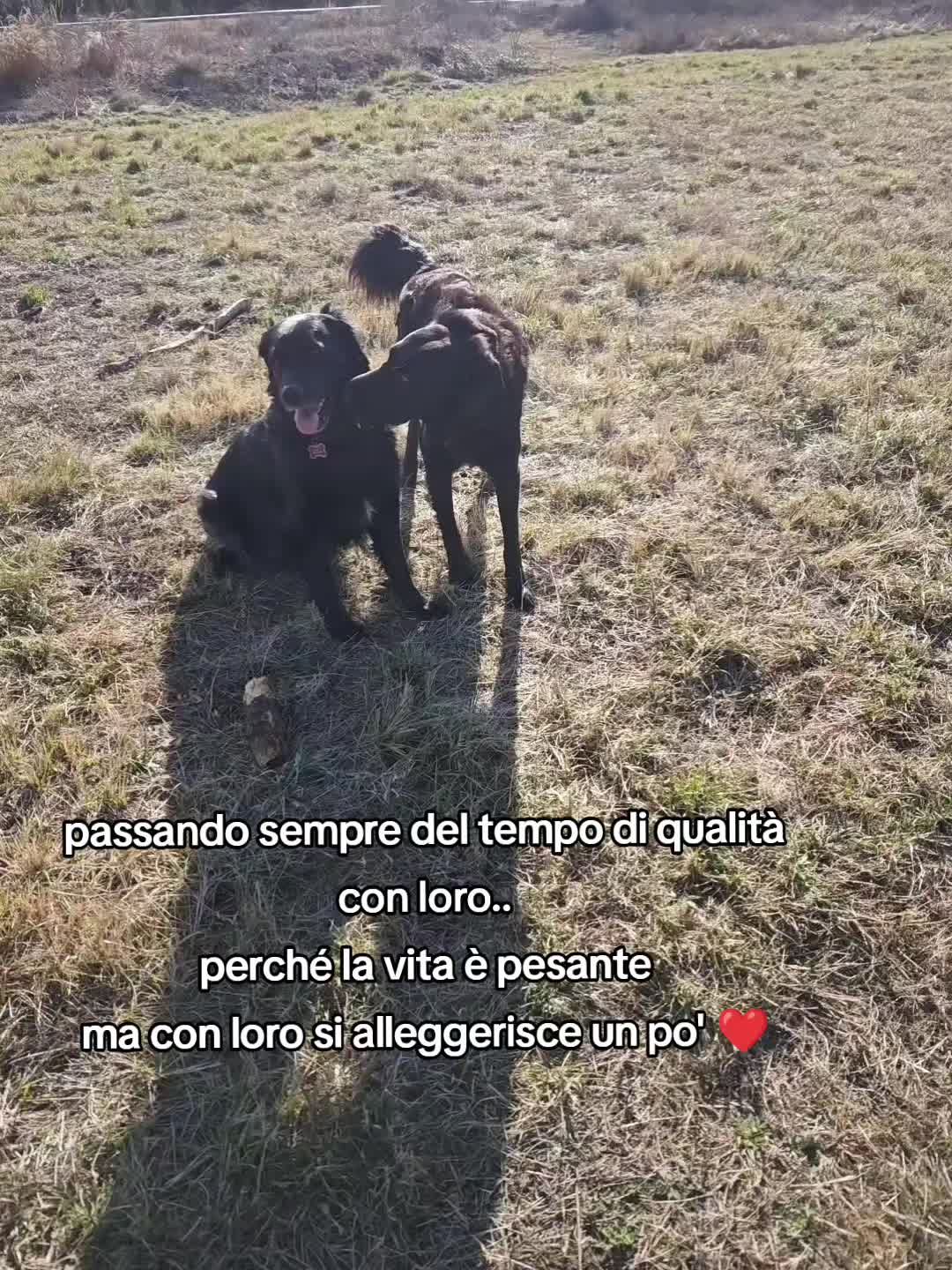 @Kiki AryaSirius Carrara