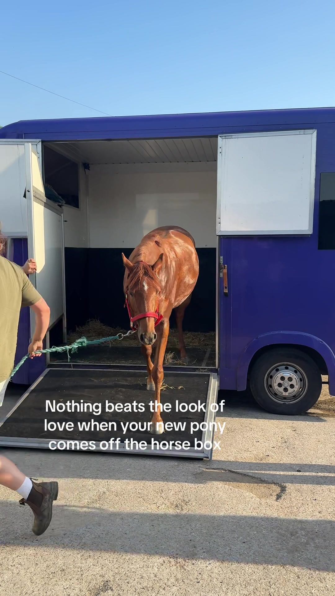 @𝐉𝐞𝐦𝐢𝐦𝐚𝐞𝐯𝐞𝐞𝐪 🐴