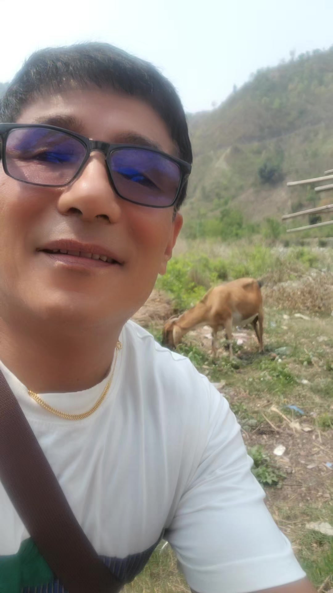 @Tarjan Rai