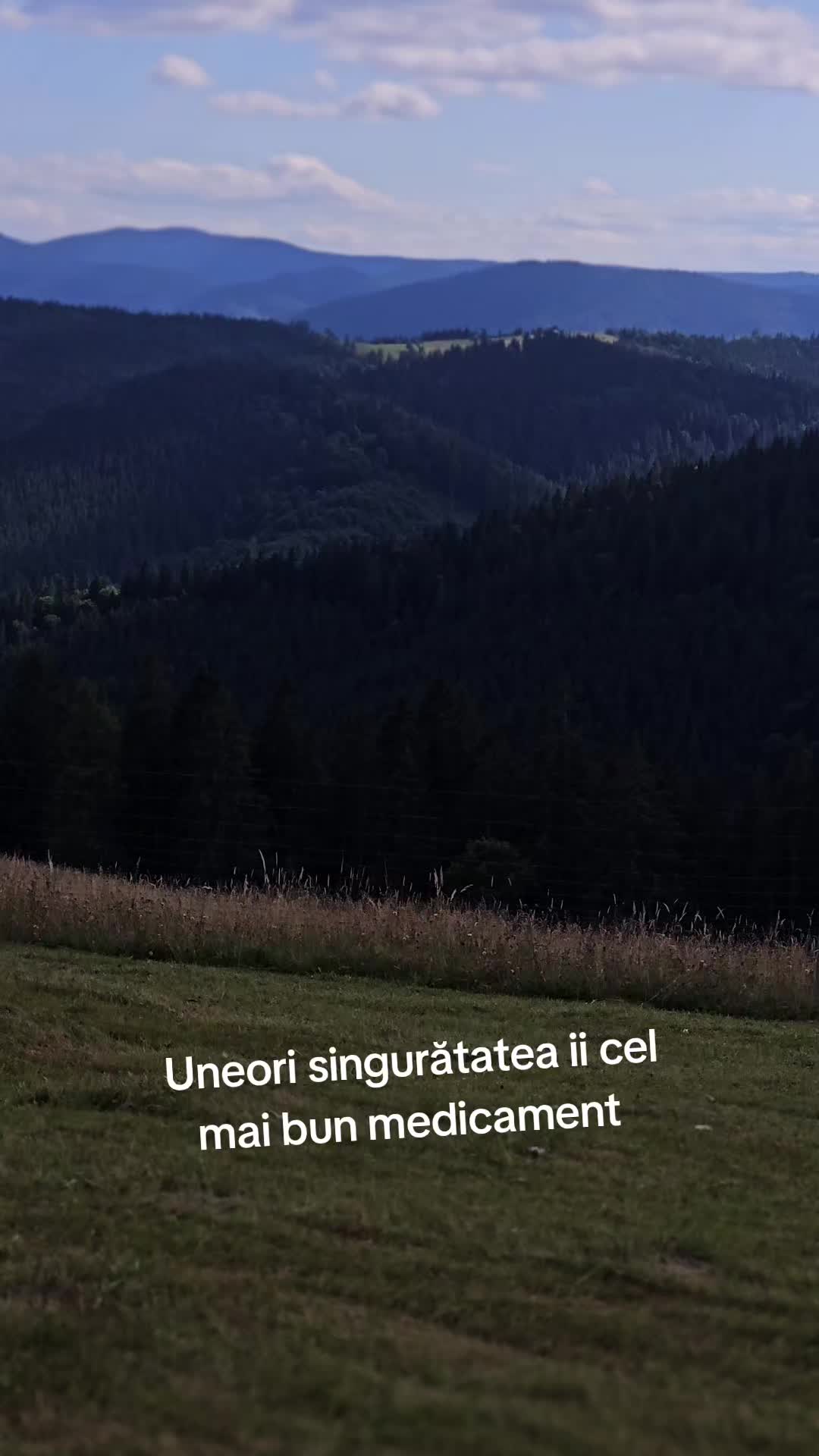 @GAVRIL