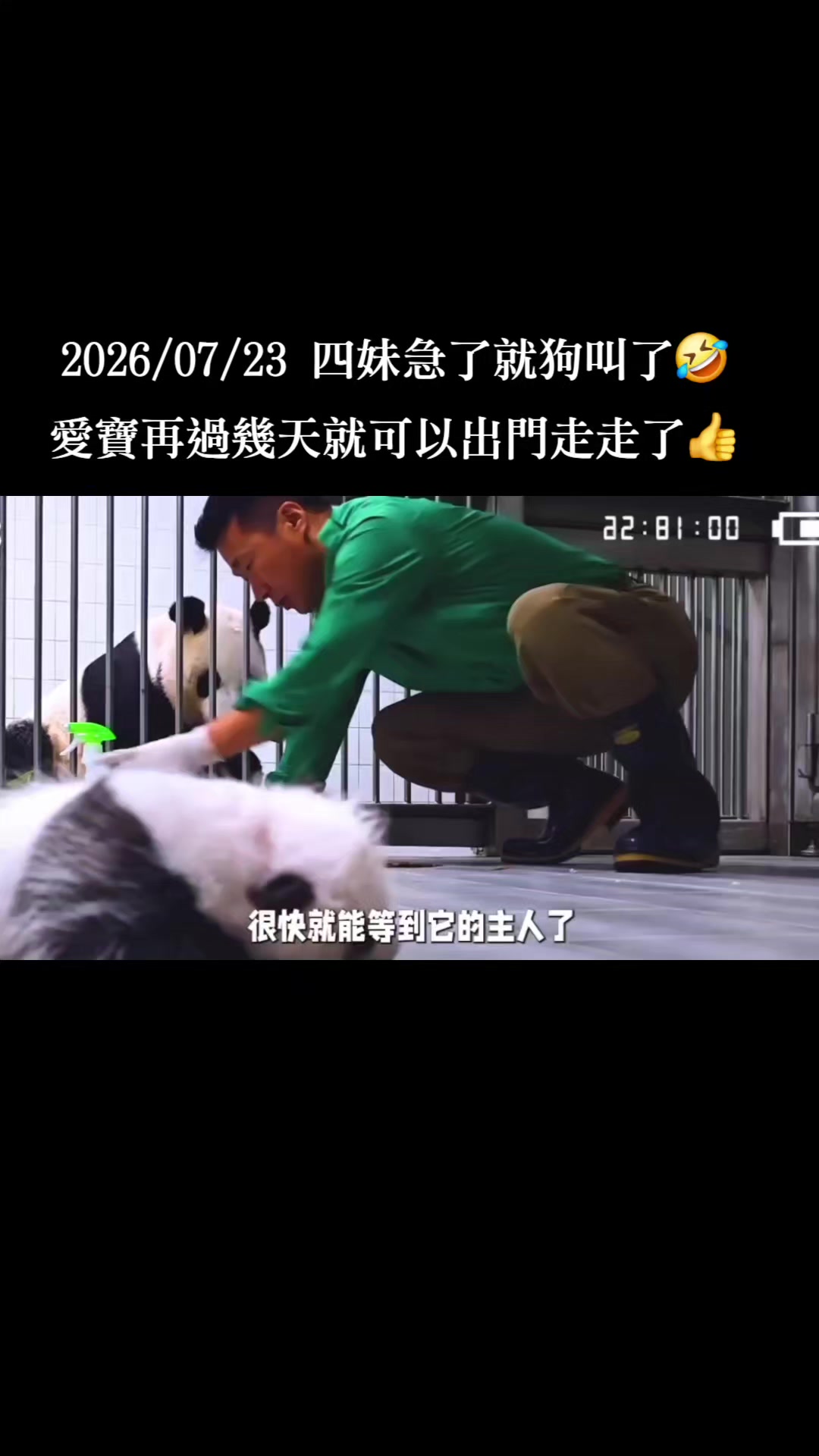 @福寶需要愛的抱抱