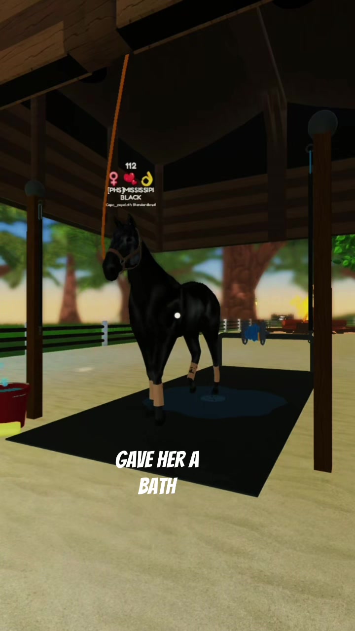 @CAPOMONTANA🥋