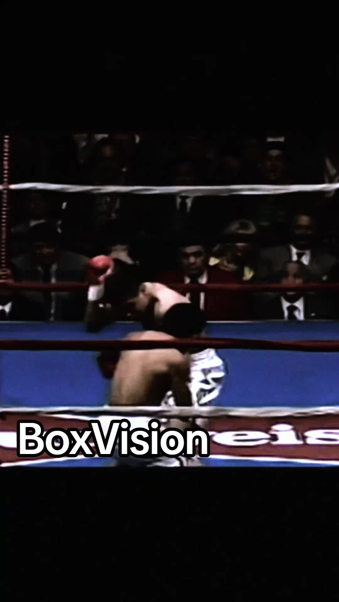 @BoxVision