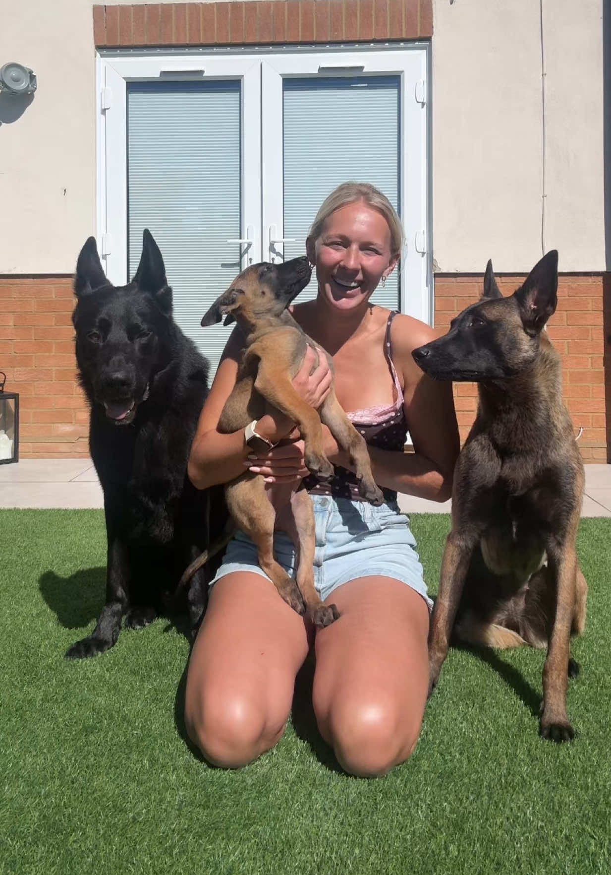 @Champion Dog Training