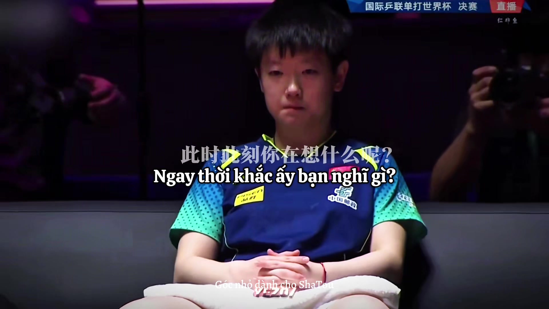 @Góc nhỏ dành cho ShaTou🦁🦈❤️