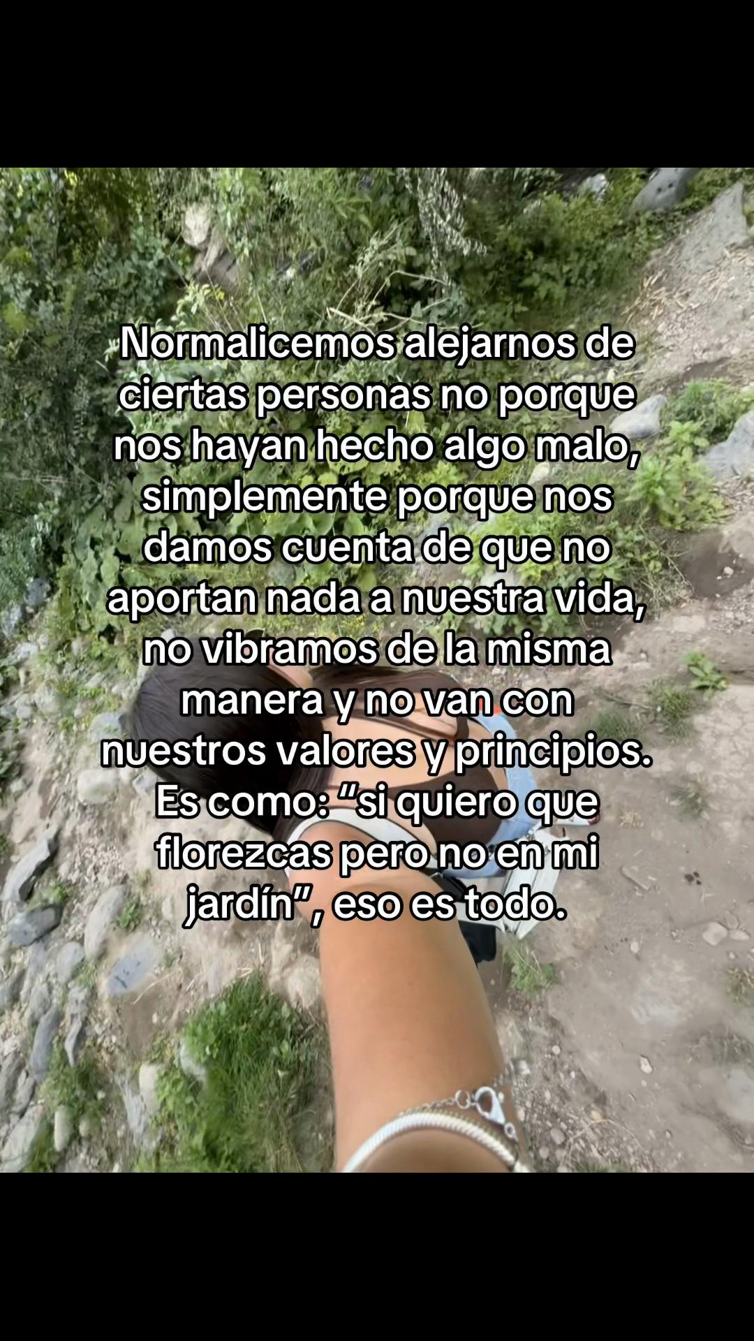 @victorianieves__