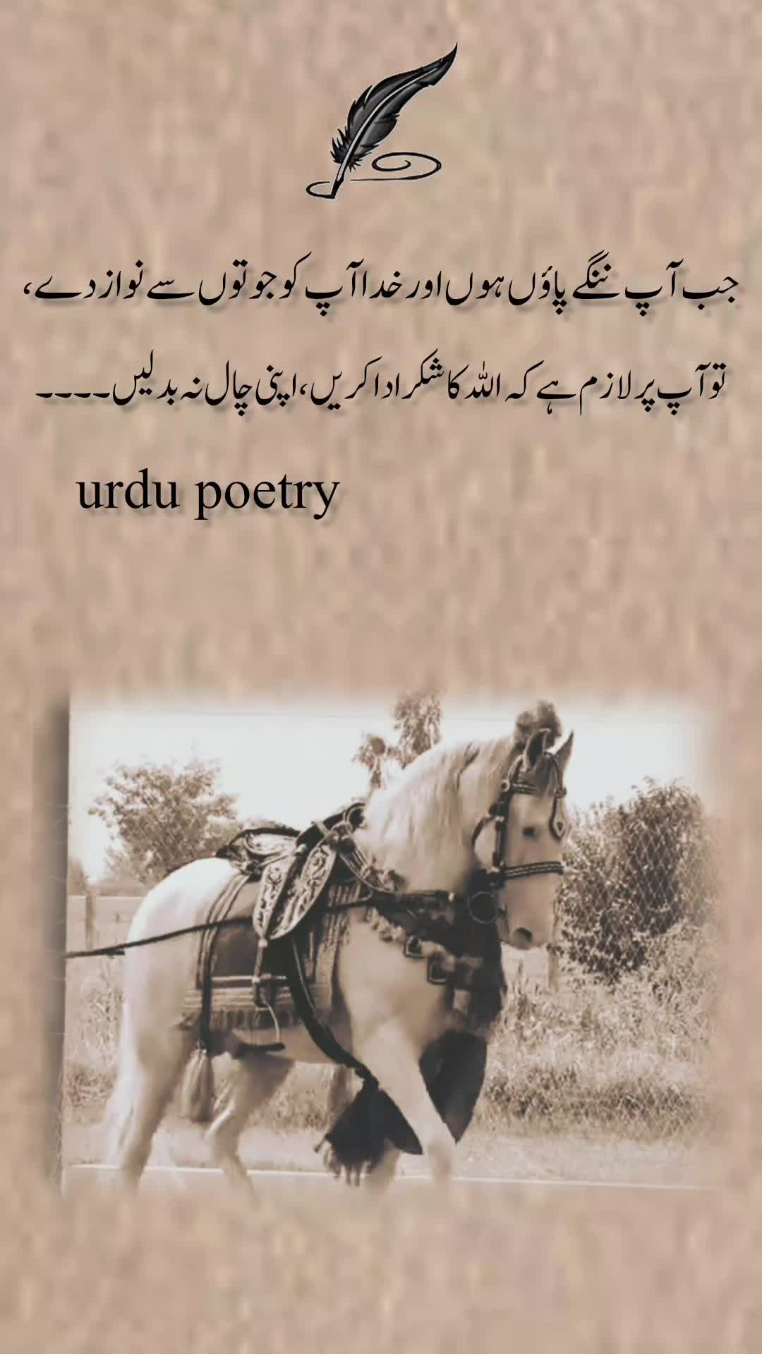 @Urdu poetry🇵🇰🇬🇷