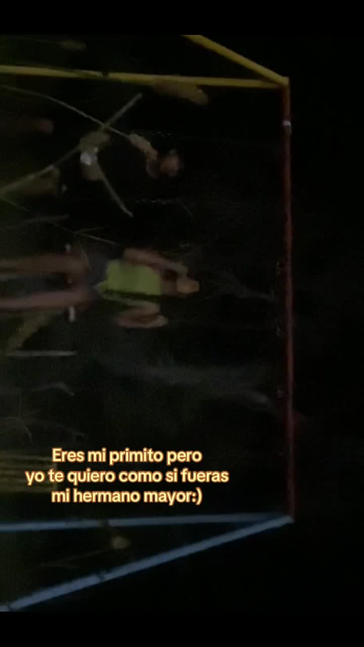 @Montes_cuuh🦡🧔🏻&zwj;♀️